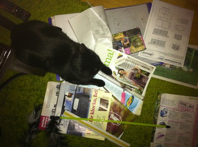Oskar hjälper till att sortera tidningsurklipp