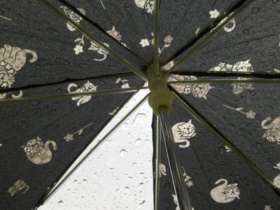 Mitt paraply