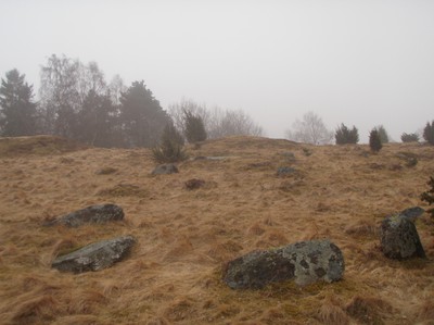 Domarringar och gravhögar på gravfältet Västra Porten och Stora Smällen i Ytterby, den 2 april 2011.
