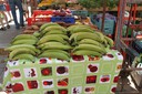 Dom har STORA bananer på marknaden i Alcudia!