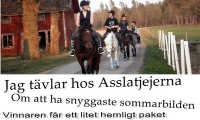 http://asslatjejerna.blogg.se/2011/august/snyggaste-sommarbilden.html#comment