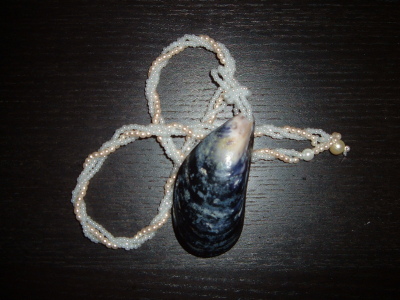 Halsband med mussla från lysekil