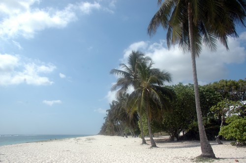 Tiwi beach