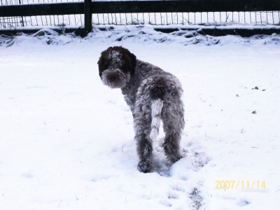 Otto i snön.