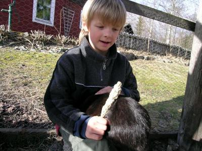 Linus i kaninburen med Leeo (kaninen)