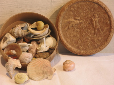 Small shells