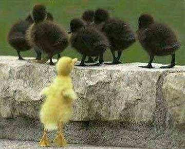 I was born to stand out!