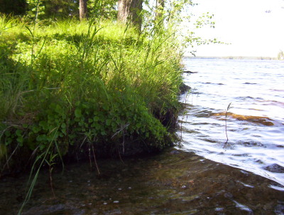 Bäcksjön1