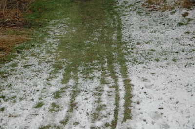 Jag tycker att det är konstigt att gräset klarar sig under den otroliga mängd snö vi haft!! Det var ju jätte mkt, hahaha, NOT!!!!!