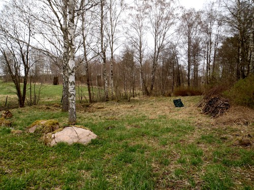 Öppna marker på Stora Vadet i Götala 20120428.