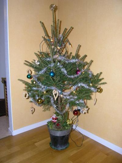 O, Christmas Tree!