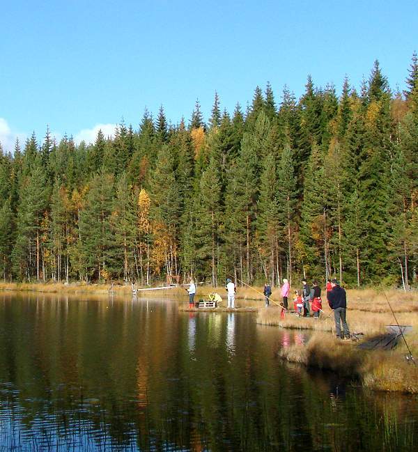 Loxodonta fishing at Tanstjärn