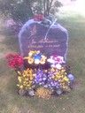 Var på ett besök hos pappa. Lämnade 7 rosor som vi la på gravstenen.