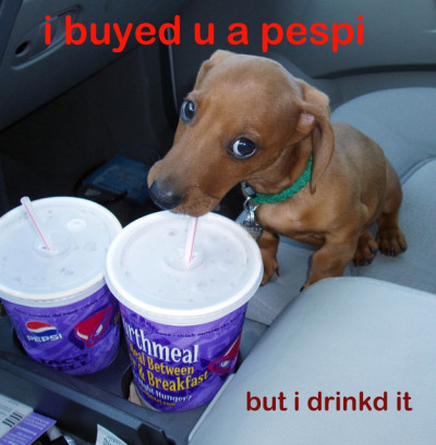 i buyed you a pespi