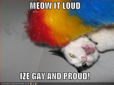 meow it loud - i iz gay and i iz proud