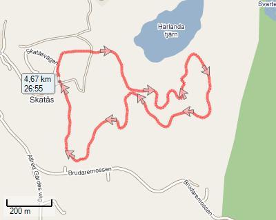 5 km Skatås 2007-11-26