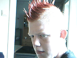 Detta är min 17 årige son Kasper som är punkare.