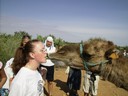 Jag pussas nästan med kamelen, men det är en bit kaktus emellan!