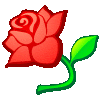 rose (MMS)