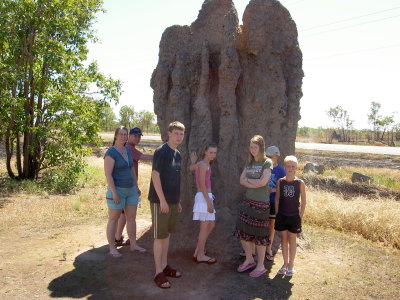 termit stavjck