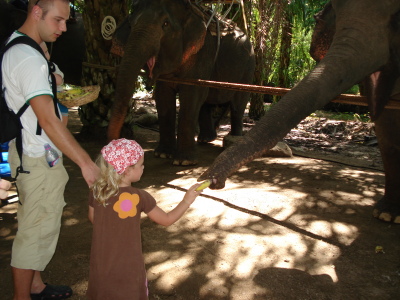 Klara matar elefanten!