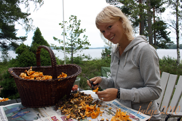 Uddebo,sommarstuga,Värmland,kantareller,Ivelajn,http://gurko.blogg.se