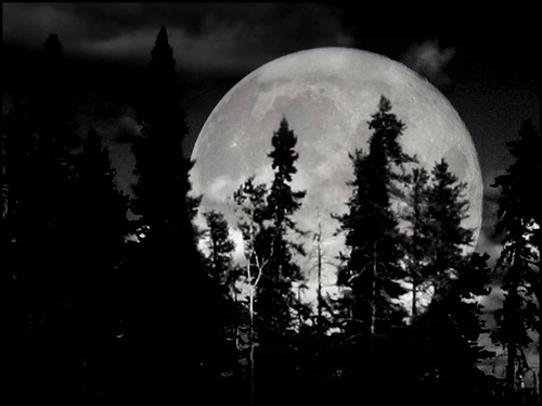 den här helgen 19-20/3-2011 Var månen större och lyste starkare än den har gjort och kommer att göra på 18 år. Väldigt nära jorden med andra ord.