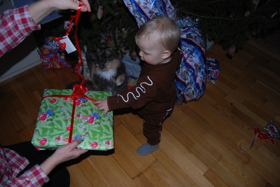 Avundsjuk kisse vill ha Joels julklapp (julafton hos Joels mormor 2009)