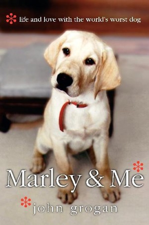 Marley and Me. Bild lånad av Google