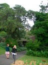 Malin och Becci fotograferade, Nina och Yve hoppade runt i Botanic gardens.