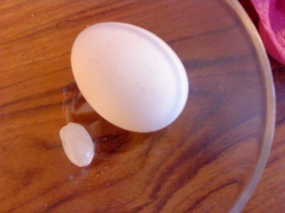 Ett liete ägg i ägget. 